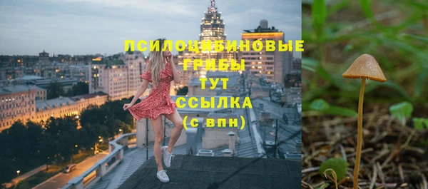 spice Баксан