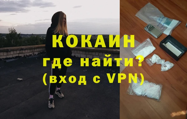 эйфоретик Арсеньев